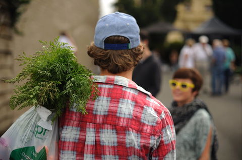 Harvest Launceston Community Farmers' Market - Accommodation Cairns 2