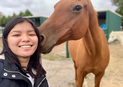Horses Teaching Humans - Accommodation Cairns 0