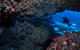 Hutchinson Shoal Dive Site - thumb 0