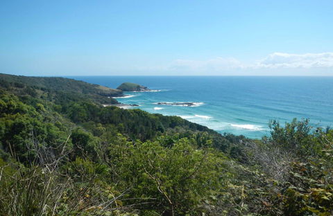 Jack Perkins Walking Track - Accommodation Cairns 0