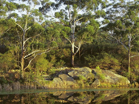 Lake Parramatta Reserve And Recreation Area - Accommodation Cairns 1