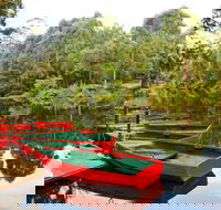 Lane Cove National Park - Accommodation Cairns