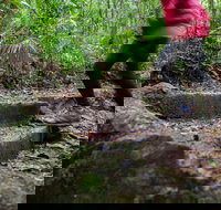 Maiala - Accommodation Cairns