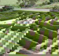 Mintaro Maze - Accommodation Cairns