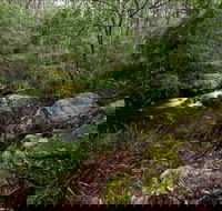 Mongarlowe River picnic area - Accommodation Cairns