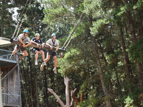 Mount Lofty Adventure Hub - Accommodation Cairns 1