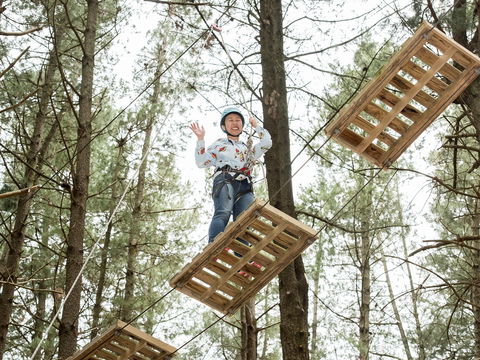 Mount Lofty Adventure Hub - Accommodation Cairns 2