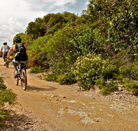 Mountain Biking Trails - Accommodation Cairns