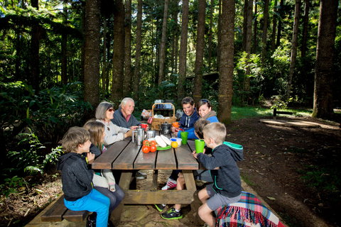 Mount Yarrahapinni Lookout - Accommodation Cairns 1