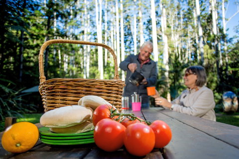 Mount Yarrahapinni Lookout - Accommodation Cairns 2