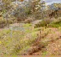Old Mountain Road Walking Track - Accommodation Cairns
