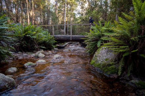 O'Neills Creek Picnic Reserve - Accommodation Cairns 0