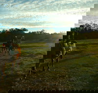 Scenic NSW Horse Riding Centre - Accommodation Cairns