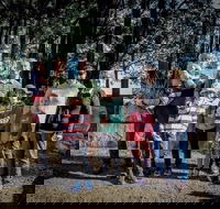 State Forests of the Watagan Mountains - Accommodation Cairns