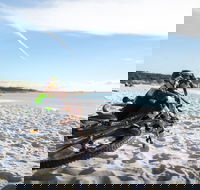 St Helens Mountain Bike Trails - Accommodation Cairns