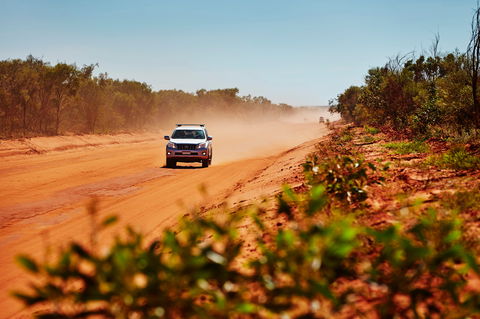 The Ardi Cultural Drive - Accommodation Cairns 1