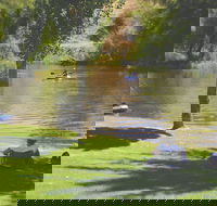 The Lions Junction Park - Tumut - Accommodation Cairns