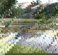 Tumut Wetlands - Accommodation Cairns