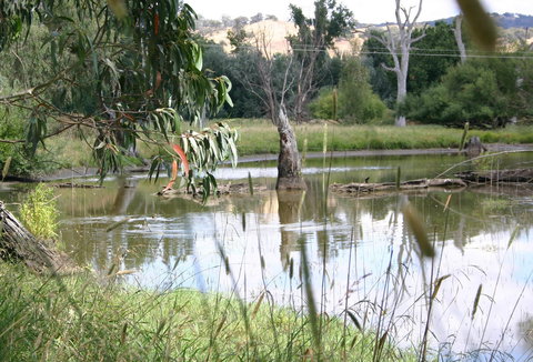 Tumut Wetlands - Accommodation Cairns 0