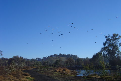 Tumut Wetlands - Accommodation Cairns 1