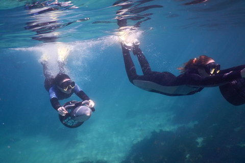 Small-Group Underwater Scooter Experience In Clovelly - Accommodation Cairns 0
