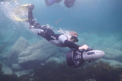 Small-Group Underwater Scooter Experience In Clovelly - Accommodation Cairns 7