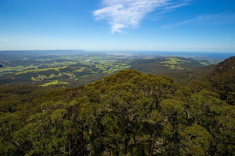 Illawarra Fly Treetop Adventures Treetop Walk Admission Ticket - Accommodation Cairns 6