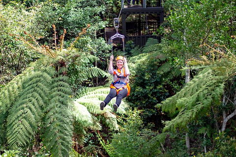 Illawarra Fly Treetop Adventures Treetop Walk Admission Ticket - Accommodation Cairns 2