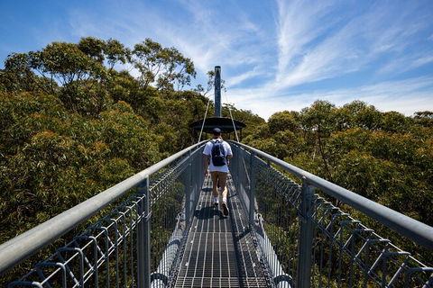 Illawarra Fly Treetop Adventures Treetop Walk Admission Ticket - Accommodation Cairns 0