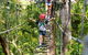 Illawarra Fly Treetop Adventures Treetop Walk Admission Ticket - thumb 3