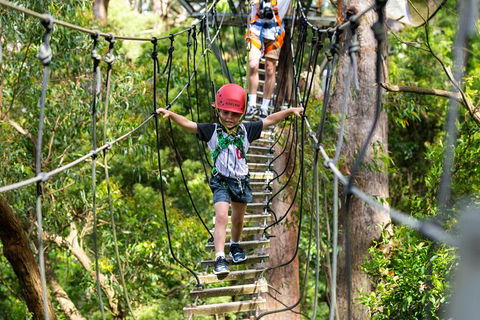 Illawarra Fly Treetop Adventures Treetop Walk Admission Ticket - Accommodation Cairns 3
