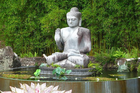 Crystal Castle Shuttle From Byron Bay (full Day) - Accommodation Cairns 0