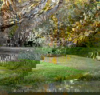 Gateway Island Parklands - Accommodation Cairns