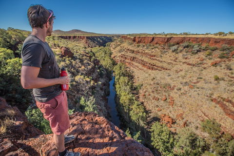 Gorge Rim Walk, Dales Gorge - Accommodation Cairns 0