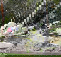 Maroochy Regional Bushland Botanic Garden - Accommodation Cairns