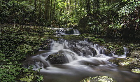 Protesters Falls Walking Track - Accommodation Cairns 0