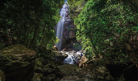 Protesters Falls Walking Track - Accommodation Cairns 1