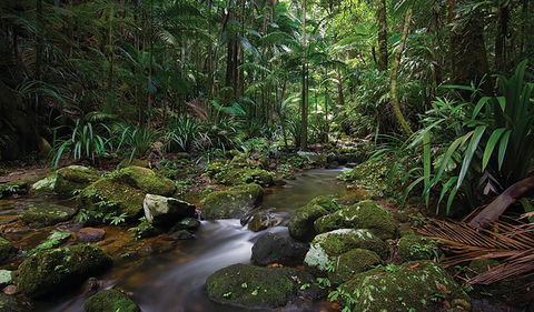 Protesters Falls Walking Track - Accommodation Cairns 2