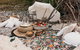 A Picnic In Byron Bay - thumb 2