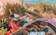 A Picnic In Byron Bay - thumb 0