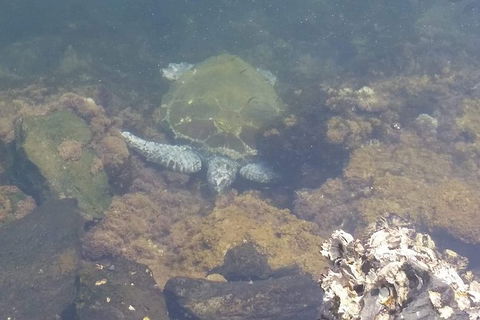 Sawtell To Coffs Harbour Bike Ride - Accommodation Cairns 4