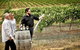 VIP Soil-To-Cellar Experience - thumb 0