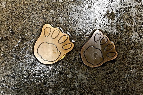 Discover Sydney - Accommodation Cairns 4