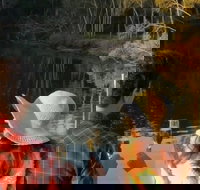 Sunset Eco Rainforest River Cruise - Accommodation Cairns