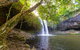 Half-Day Best Of Byron Sightseeing Tour - thumb 0