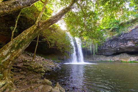 Half-Day Best Of Byron Sightseeing Tour - Accommodation Cairns 0