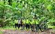 Guided E Bike Tour - Hells Hole Pools & Rainforest - thumb 0