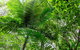 Guided E Bike Tour - Hells Hole Pools & Rainforest - thumb 5
