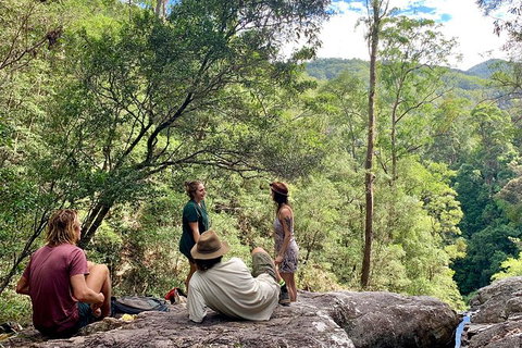 Guided E Bike Tour - Hells Hole Pools & Rainforest - Accommodation Cairns 4