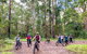 Guided E Bike Tour - Hells Hole Pools & Rainforest - thumb 2